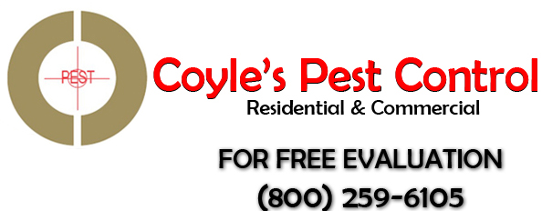 Coyle's Pest